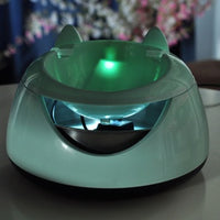 Automatic water dispenser