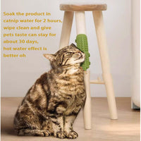 Home Fashion Statement Cat Porcelin