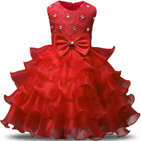 Girls sleeveless puffy princess dress