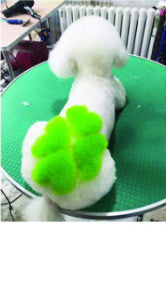 Personalized Dressing Up Dye For Dog Hair