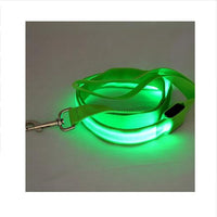 LED Illuminated Traction Nylon Pet Leash