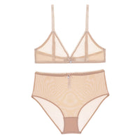 Transparent deep V underwear bra and high waist panties