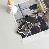 Compatible with Apple , Mobile Phone Creative Transparent Cat Printing Protective Cover