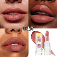 Matte Lipstick 12 Colors Handaiyan Makeup Matte Waterproof