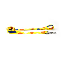 Pet traction belt