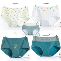 Autumn underpants girl 100% cotton