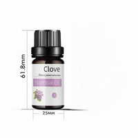 Preserved Rose White Tea Botanical Body Care Essential Oil