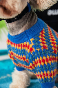 Autumn And Winter Color Round Neck Pullover Dog Sweater