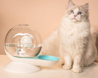 Cat drinking fountain filtering automatic drinking fountain