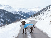 Pet Coat Waterproof Windproof Puppy Small And Medium-sized Dogs