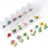 12 Box Box Nail Dry Flower Jewelry