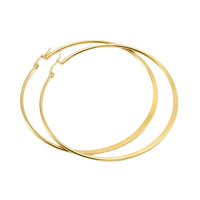 Titanium Steel Flattened Ear Wire Clip Earrings For Women