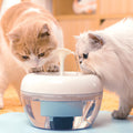 Automatic circulation filtering water dispenser