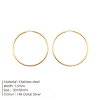 Fashionable Gold-Plated Stainless Steel Earrings