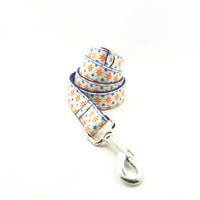 Pet leash dog collar leash