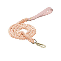 Rainbow Traction Rope Collar Adjustable Medium And Large Dog Outing Chain