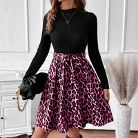 Retro Flare A-Line Elegant Casual Long-Sleeve Dress