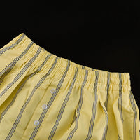 Long-sleeved Striped Collared Shirt And Shorts Casual Two-piece Set
