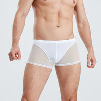 Thin Men's Mesh Translucent High Elastic Low Waist Panties