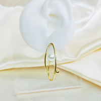 Stainless Steel Cool Ins French Fashion Earrings