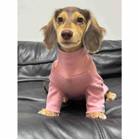 Pet Clothing Autumnwinter High-neck Base Vest