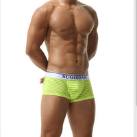 Striped Transparent Sexy Underwear Boxers
