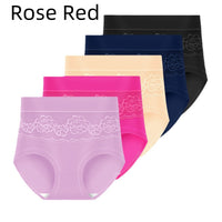 Women's Plus Size High Waist Briefs