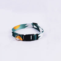 Hand Holding Rope Outing Dog Leash Dog Collar Three-piece Set