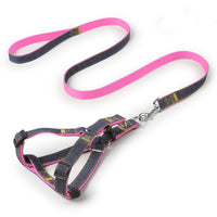 Wear-resistant traction rope
