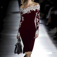 Stylish And Elegant Lace Bodycon Dress For Women