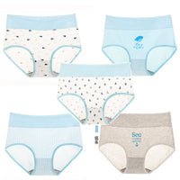 Autumn underpants girl 100% cotton