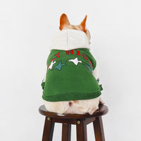 Teddy Winter Hoodie Warm Green