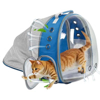 Rear Expandable Transparent Mesh Pet Backpack