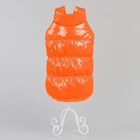 Puppy dog cat Teddy cotton vest