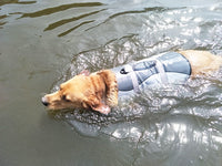 Pet life jacket