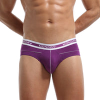 Low Waist Young Men's Underwear Sexy Men's Briefs Comfortable Sports Breathable Briefs