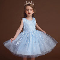 Puffy tulle princess skirt dress