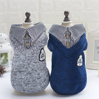 Lapel Dog Sweatshirt