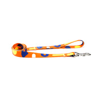 Pet traction belt