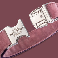 Pink dog collar
