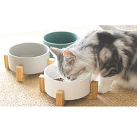 Nordic Creative Multifunctional Fruit Dessert Bowl