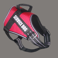 Custom Pet harness