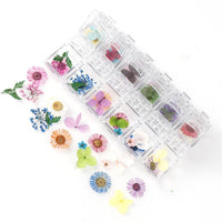 12 Box Box Nail Dry Flower Jewelry