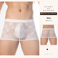 High Elastic Transparent Lace Sexy Boxer Briefs