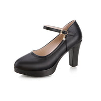 Women's High Heels Chunky Heel Waterproof Platform Spring And Autumn Versatile Professional Shoes