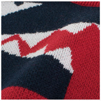 Children's dinosaur sweater