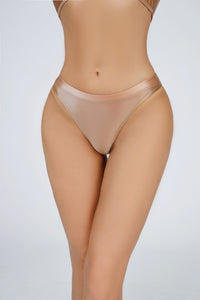 Silky Glossy Low-rise Panties With A Sheer Sexy Design