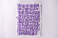 Orychophragmus Violaceus Dried Flowers
