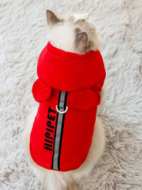 Autumn And Winter Anti-lint Muppet Blue Cat Silver Gradual Layer Pet British Shorthair Cat Clothes Thickened Vest
