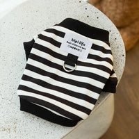 Spring Thin Velvet Puppy Clothes Simple Striped Traction Sweater